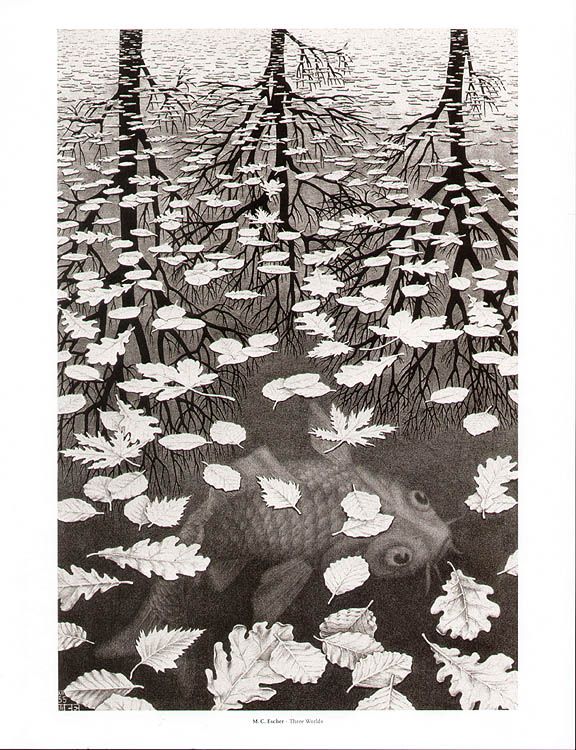 ESCHER print 28x36cm THREE WORLDS koi in pond  