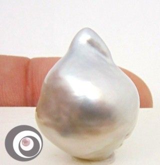 SILVER WHITE baroque SOUTH SEA PEARL  19.0 x 14.4mm  