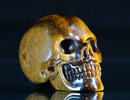 The skull pictured is the exact one you will receive. All pictures 