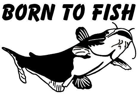 Born to Fish Catfish Decal 6 Wildlife Outdoors Fishing  