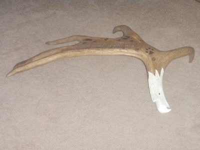   MOOSE ANTLER EAGLE HEAD CARVING, BEAR. DEER. WOLF TRACKS NEW  