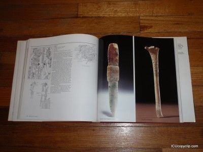 The Blood Of Kings Dynasty And Ritual In Maya Art Book  