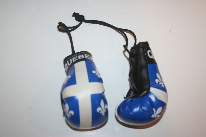 QUEBEC PROVINCIAL FLAG PAIR MINIATURE BOXING GLOVES NEW  