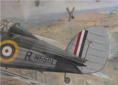 Gloster Roden Sea Gladiator 1/48 scale NIB  