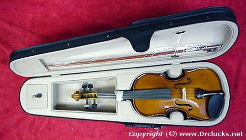 NEW PALATINO 1/2 SIZE EBONY VIOLIN OUTFIT  