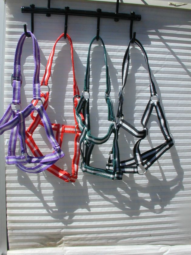 Economy Turnout Halter / Cob  