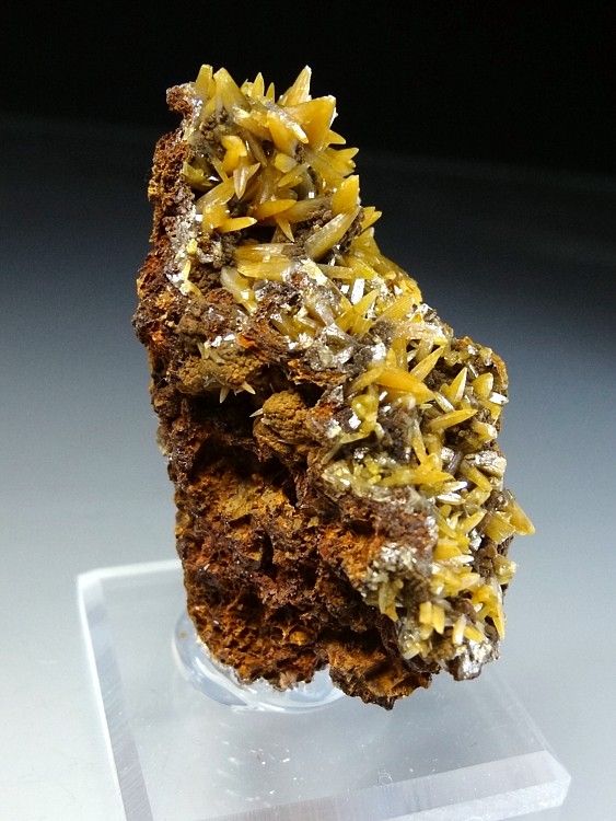 Top Shelf Gem Minerals Scepter Quartz Mixed Minerals Rare Quartz Forms