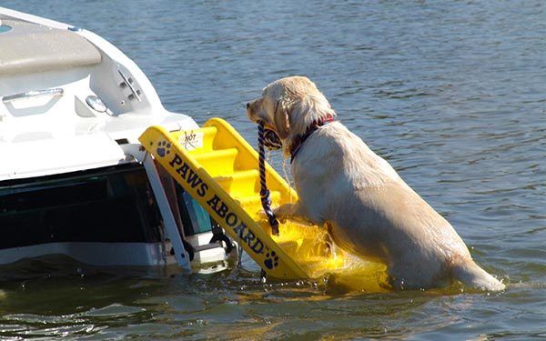 Boat Ladder Dog Boat Ladder Dog Boarding Ladder  