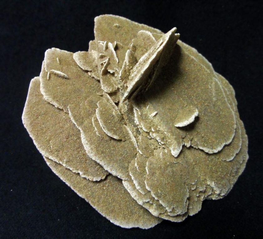 Desert rose gypsum