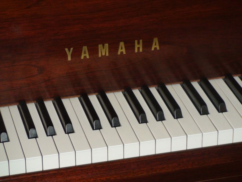   don t pay or believe inflated piano prices at your local piano dealer