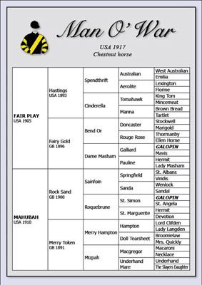 MAN O WAR PEDIGREE CHART horse racing memorabilia  