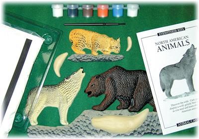 Bear Bobcat Wolf Animal Model Cast Kit Science Project  