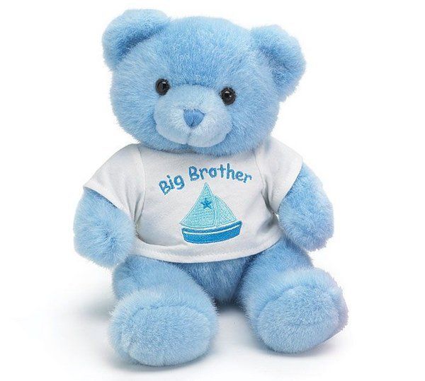 Blue Big Brother Boy Plush Teddy Bear New Baby Gift Stuffed Animal 