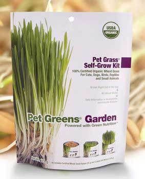 BELLROCK PET GREENS GARDEN CAT GRASS TREAT FREE SHIP 669828550052 