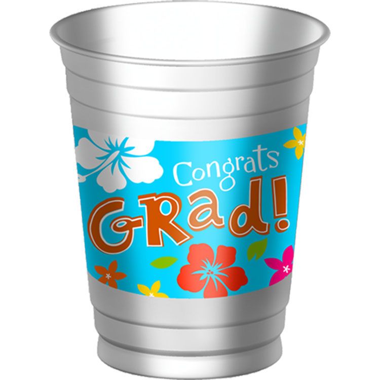 Class 2010 Graduation Party Luau 16 Plates Cups Napkins  