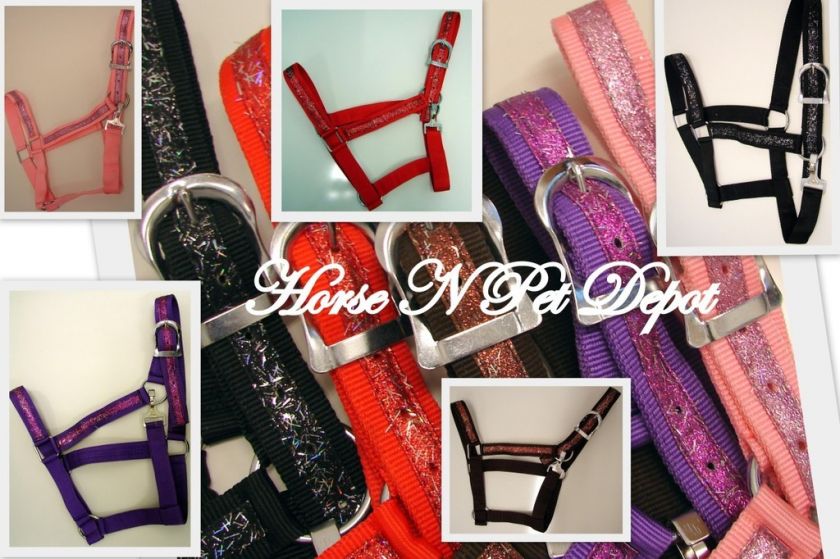 SADDLE NYLON HORSE DRAFT HALTERS SET OF 5 COLORS SET  