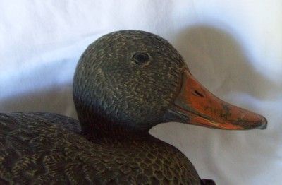 CARRY LITE HEN MALLARD DUCK DECOY ITALY  