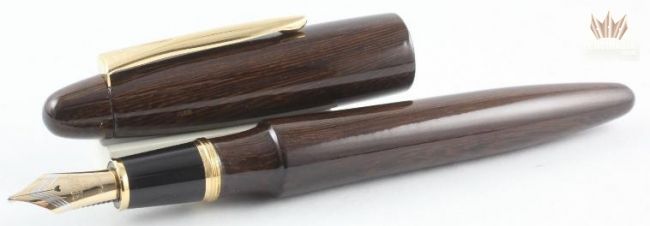 PLATINUM IZUMO TAGAYASAN GLOSS FOUNTAIN PEN BEAUTIFUL   